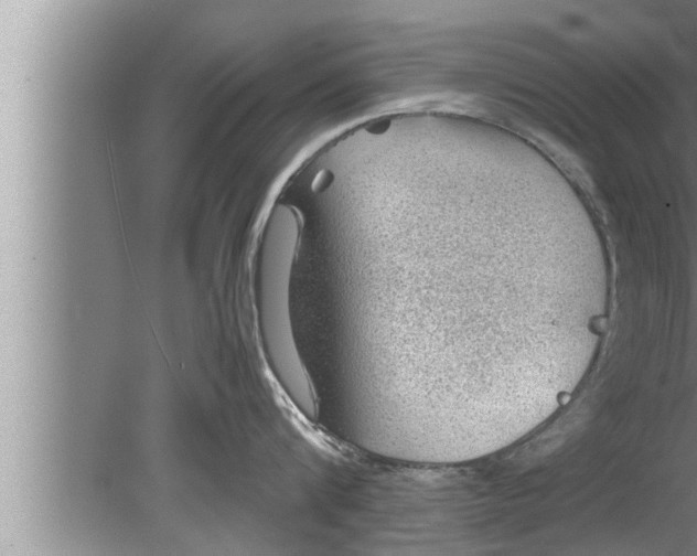 X0000080160816200612302152