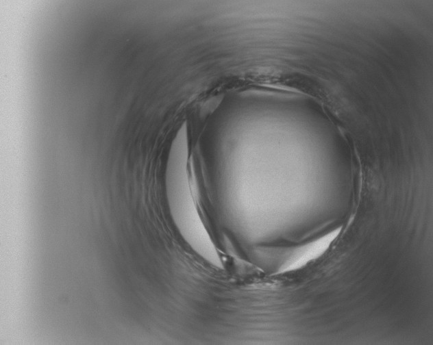 X0000080160818200612302151