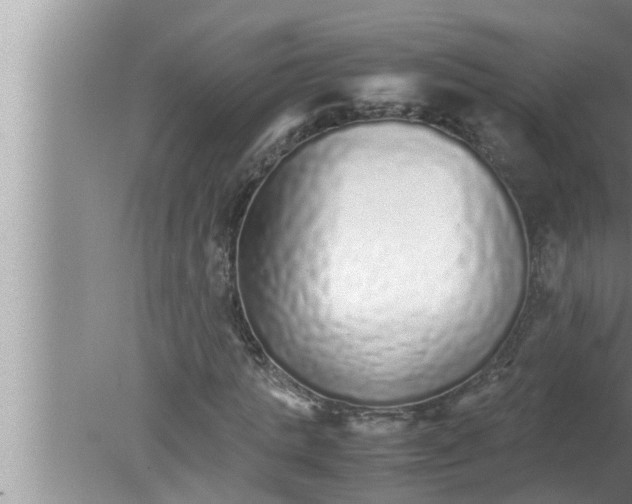 X0000080160821200612302151