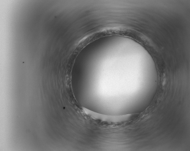 X0000080160822200612302151