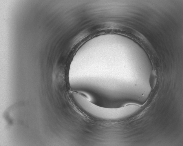 X0000080160826200612302151