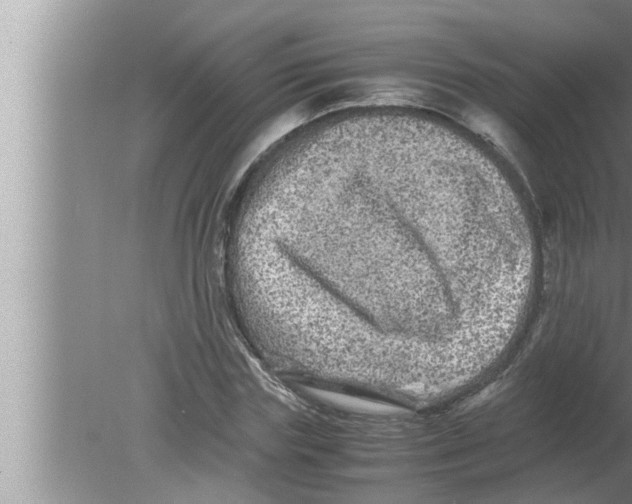 X0000080160827200612302151