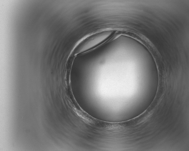 X0000080160830200612302151