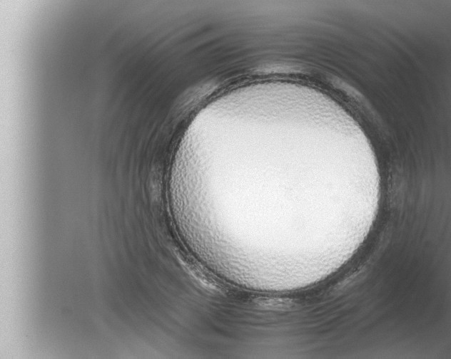 X0000080160833200612302151