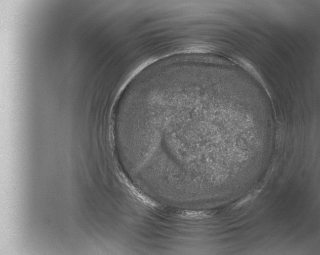 X0000080160835200612302151