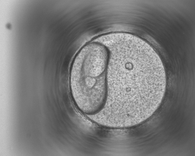 X0000080160836200612302151