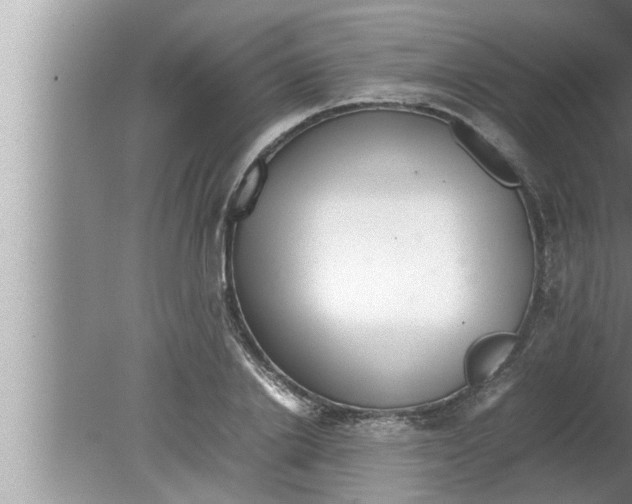 X0000080160838200612302151