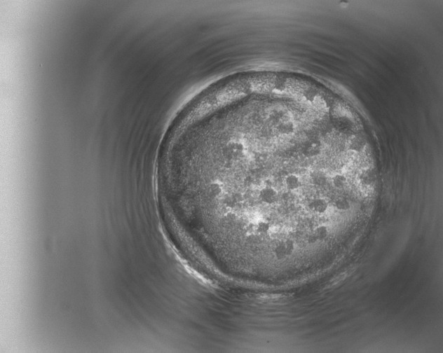 X0000080160839200612302151