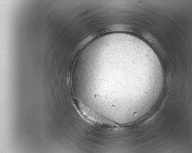 X0000080160841200612302151