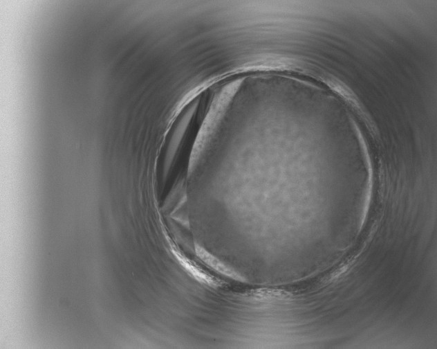 X0000080160842200612302151