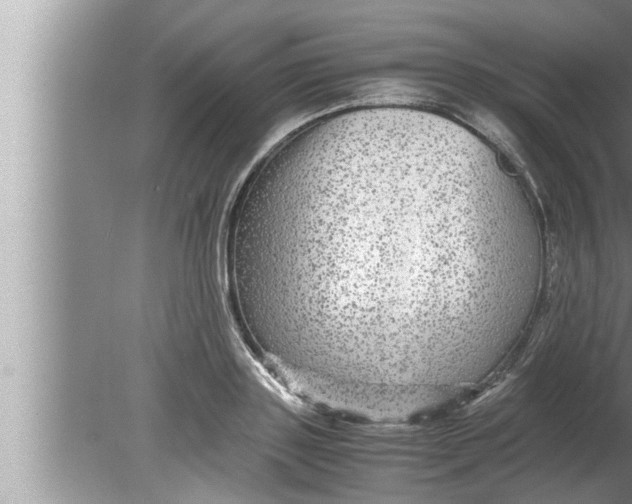 X0000080160843200612302151