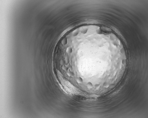 X0000080160845200612302151