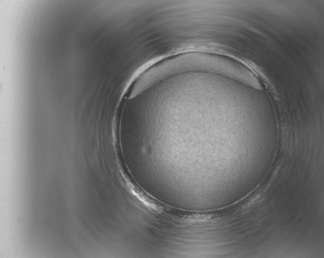 X0000080160846200612302151