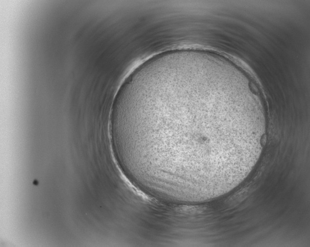 X0000080160847200612302151