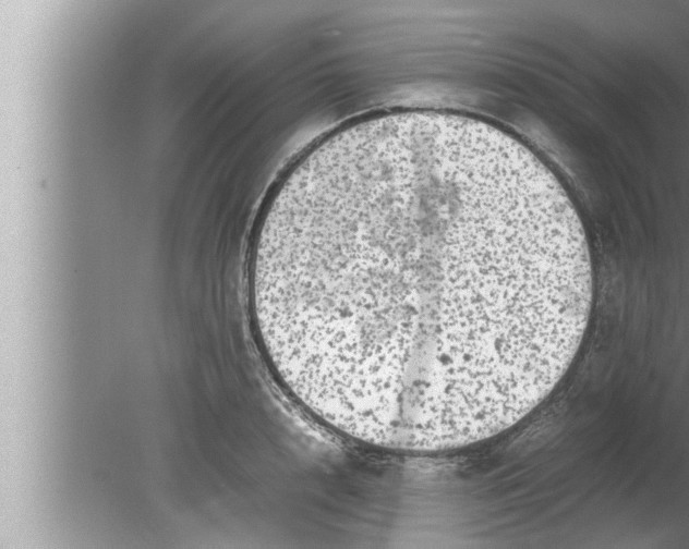 X0000080160848200612302151