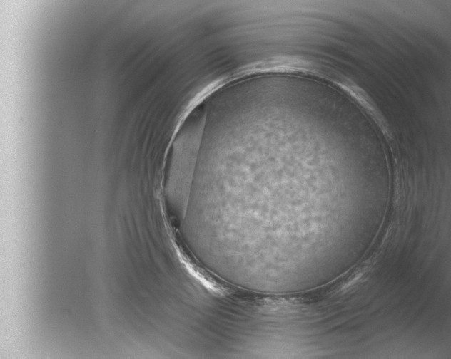 X0000080160850200612302151