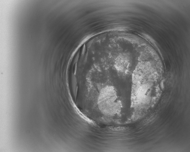 X0000080160851200612302151