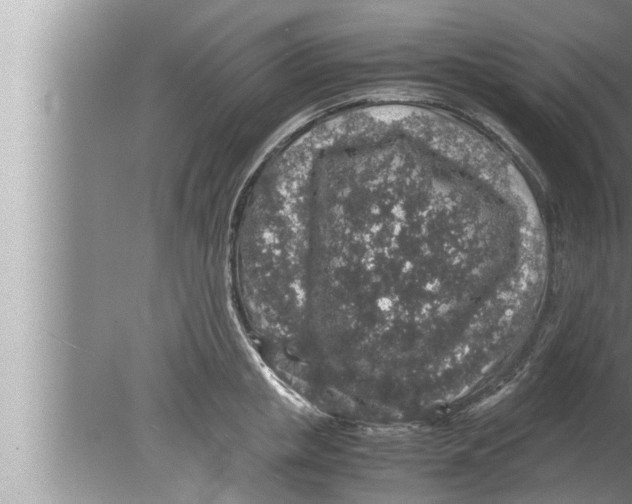 X0000080160853200612302151