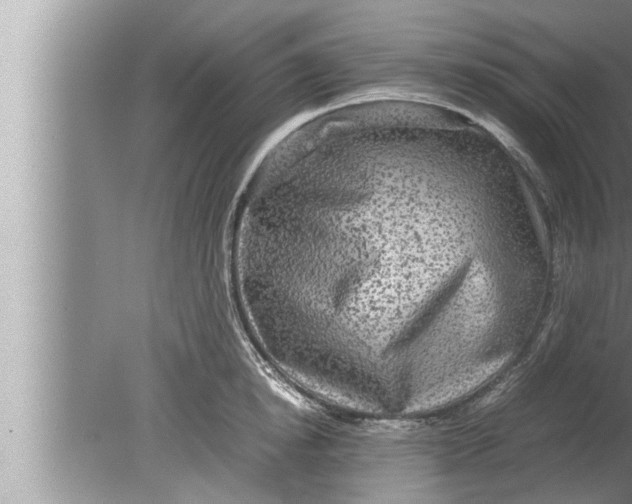 X0000080160854200612302151