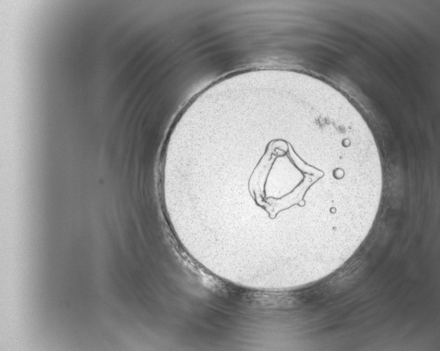 X0000080160856200612302151