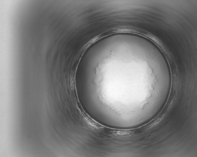 X0000080160857200612302152