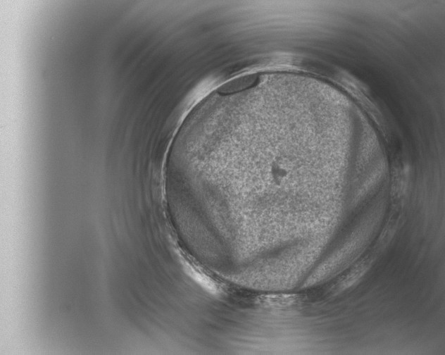 X0000080160858200612302152