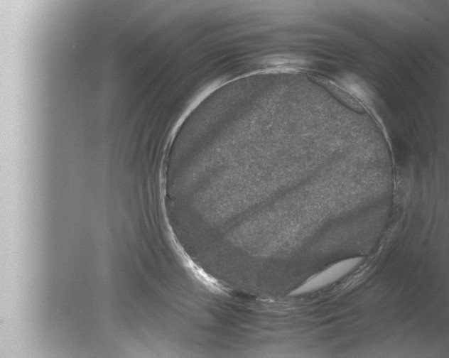 X0000080160859200612302152