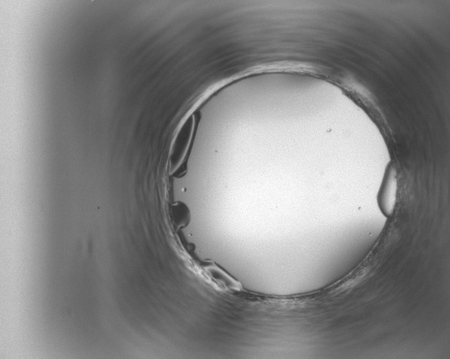 X0000080160860200612302152