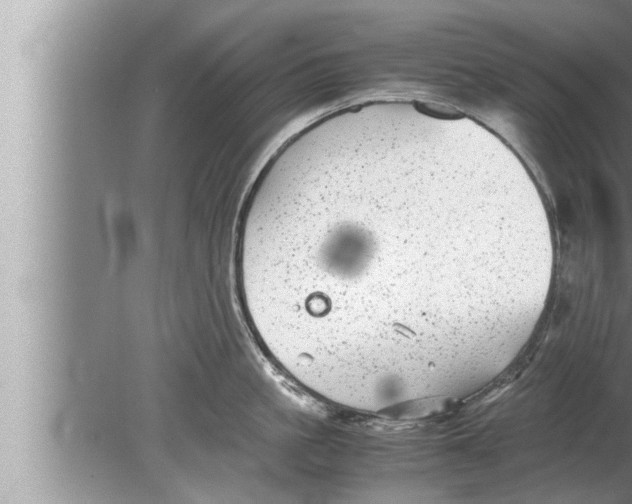 X0000080160861200612302152