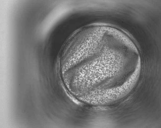 X0000080160862200612302152