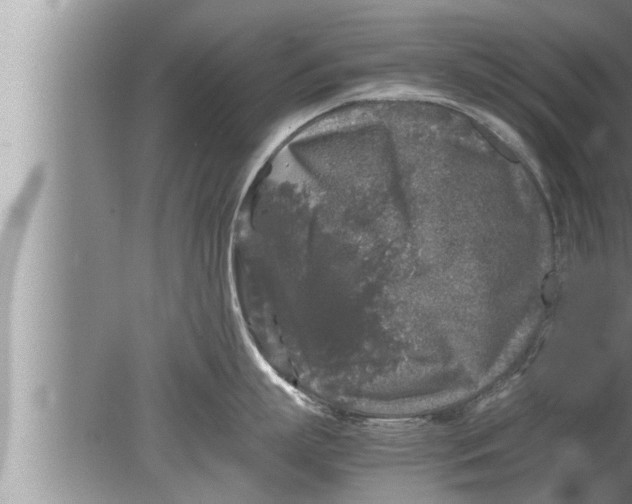 X0000080160863200612302152