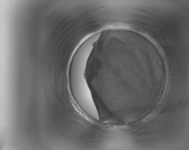 X0000080160864200612302152