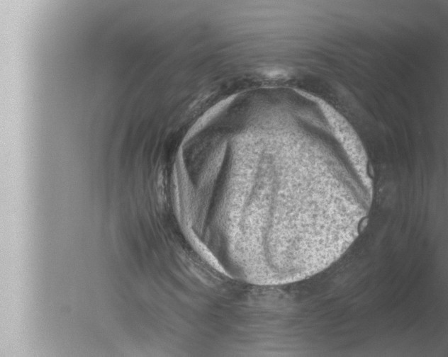 X0000080160866200612302151