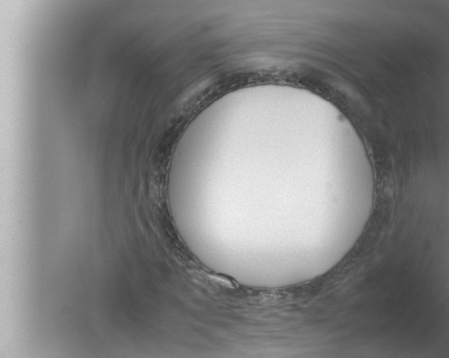 X0000080160869200612302151