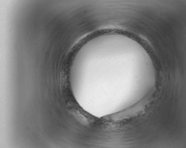 X0000080160872200612302151