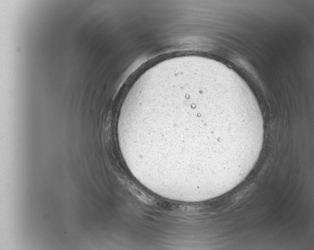 X0000080160875200612302151