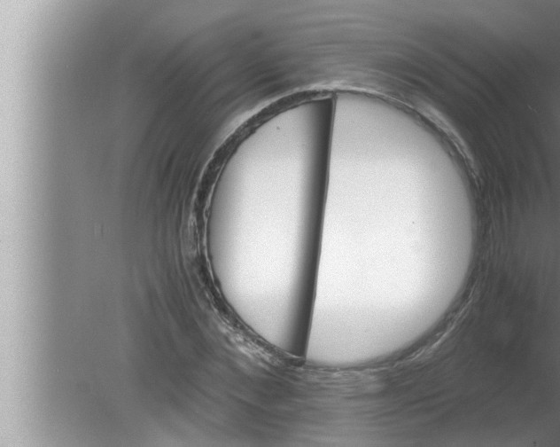 X0000080160876200612302151