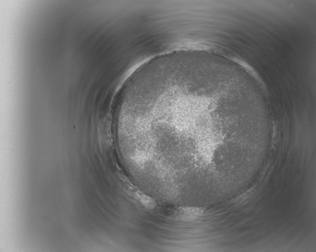 X0000080160878200612302151