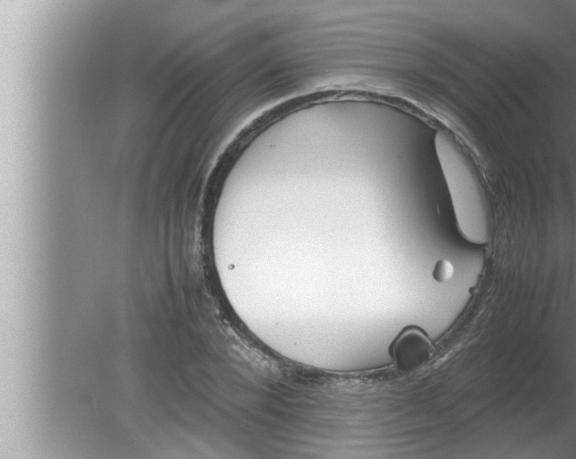 X0000080160880200612302151