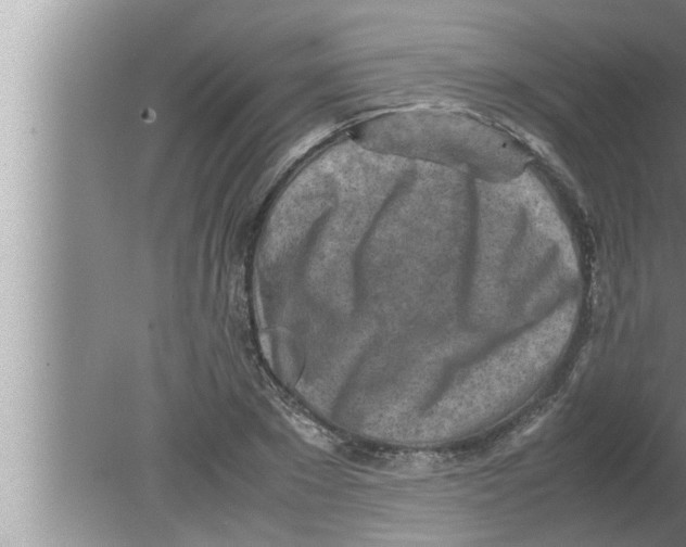 X0000080160881200612302151