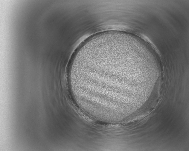 X0000080160883200612302151