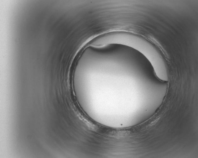 X0000080160884200612302151