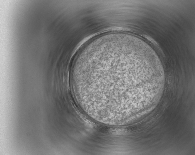 X0000080160886200612302150