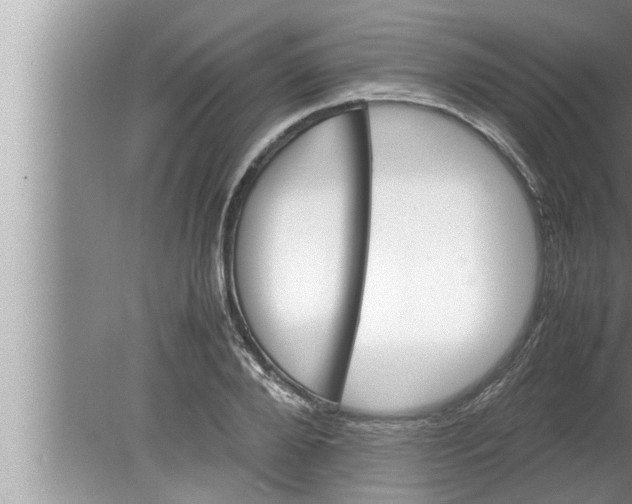 X0000080160888200612302150