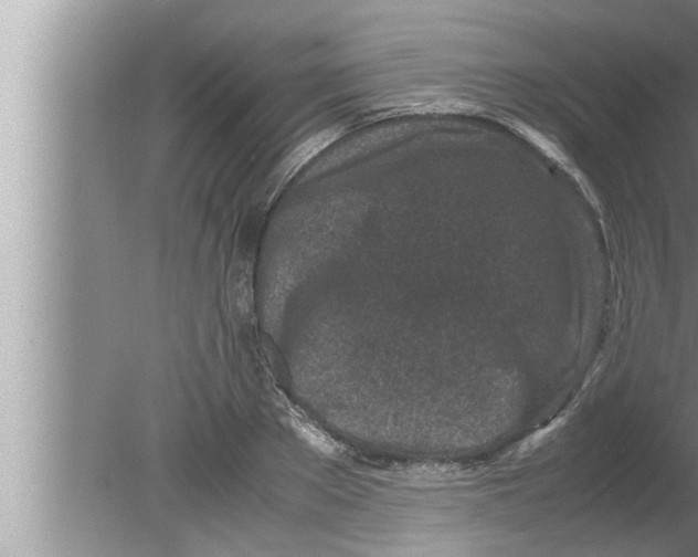 X0000080160889200612302150