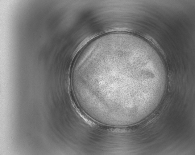 X0000080160890200612302150