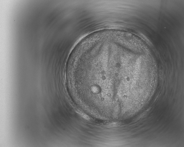 X0000080160891200612302150