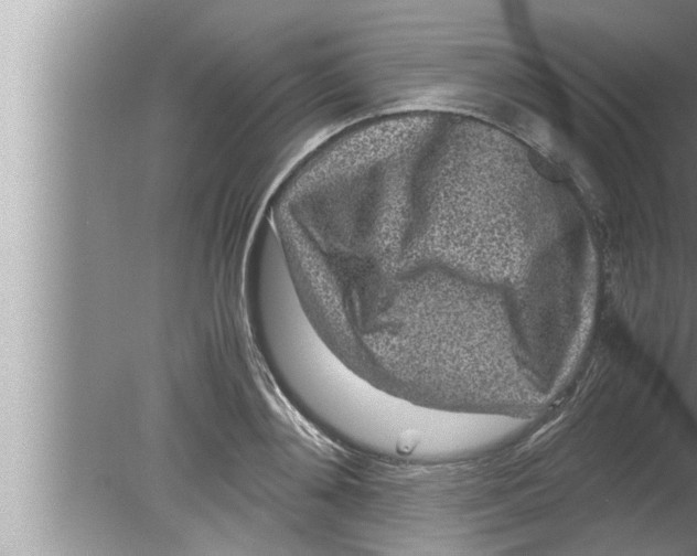 X0000080160892200612302150