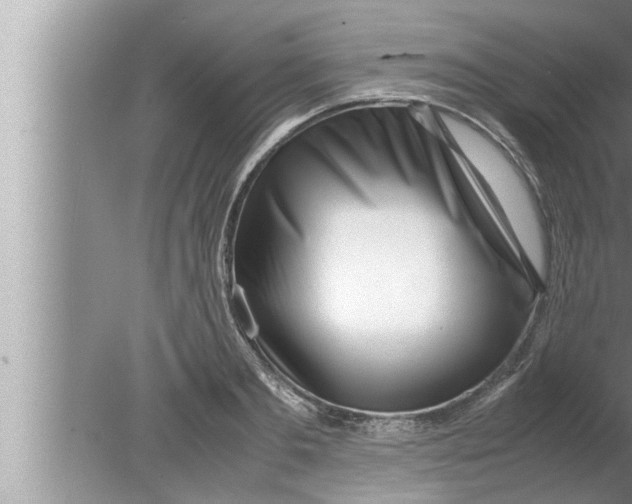 X0000080160893200612302150