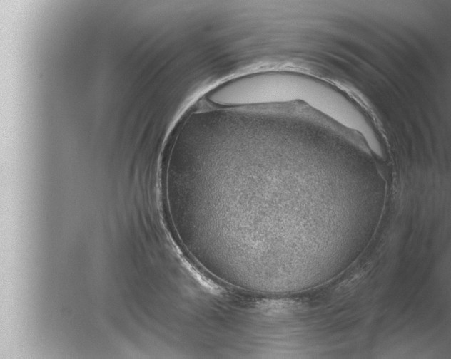 X0000080160894200612302150